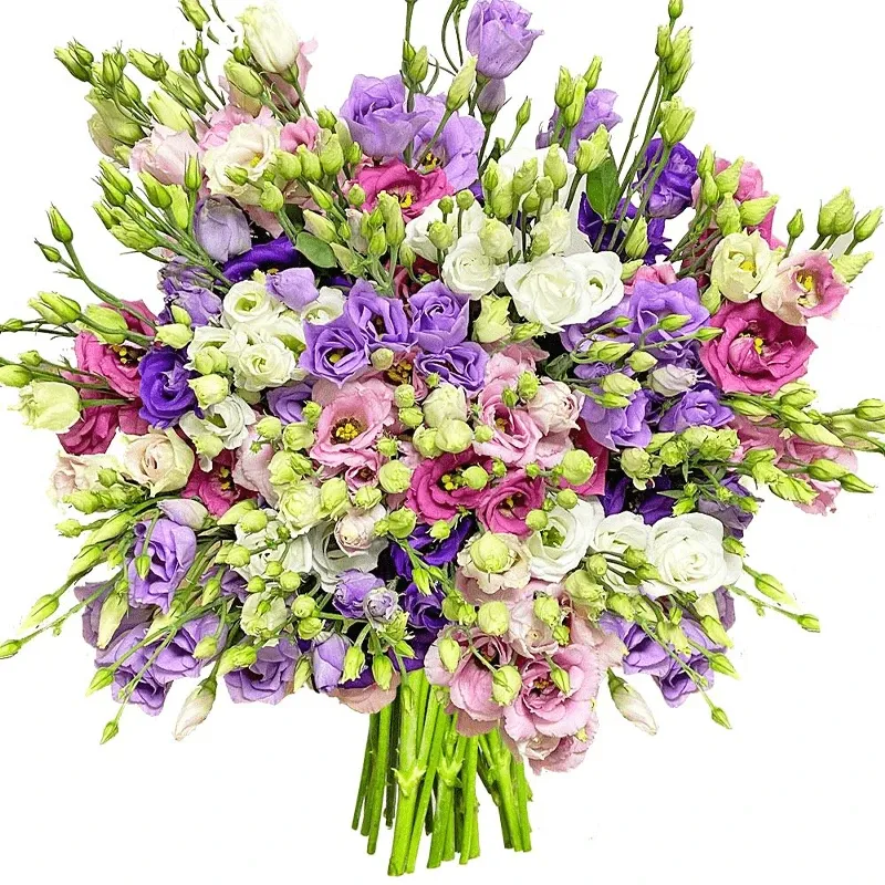 Эустомы яркий микс